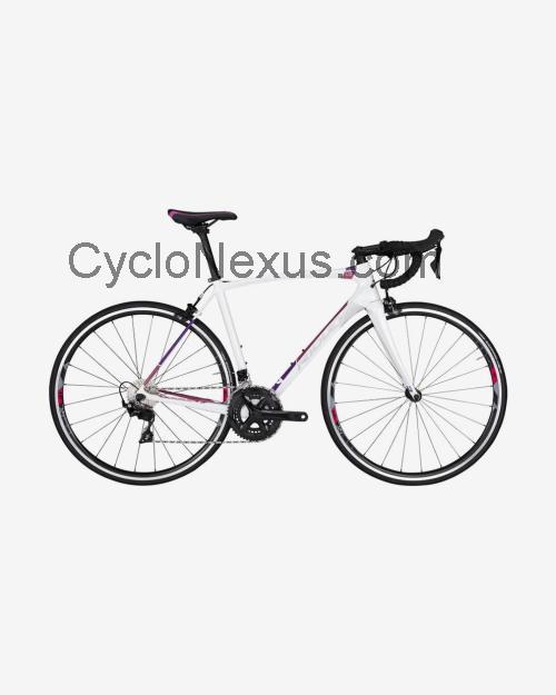 Ridley Liz C scheda tecnica e recensioni